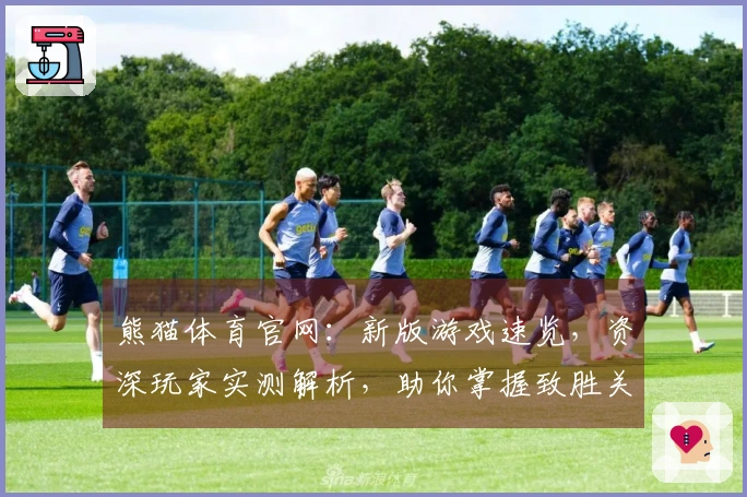 熊猫体育官网：新版游戏速览，资深玩家实测解析，助你掌握致胜关键技巧