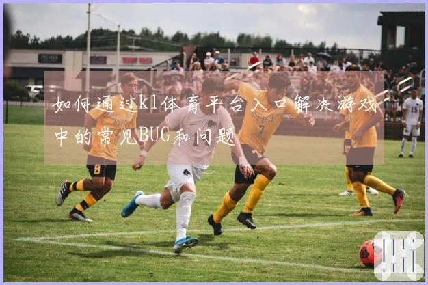 如何通过k1体育平台入口解决游戏中的常见BUG和问题